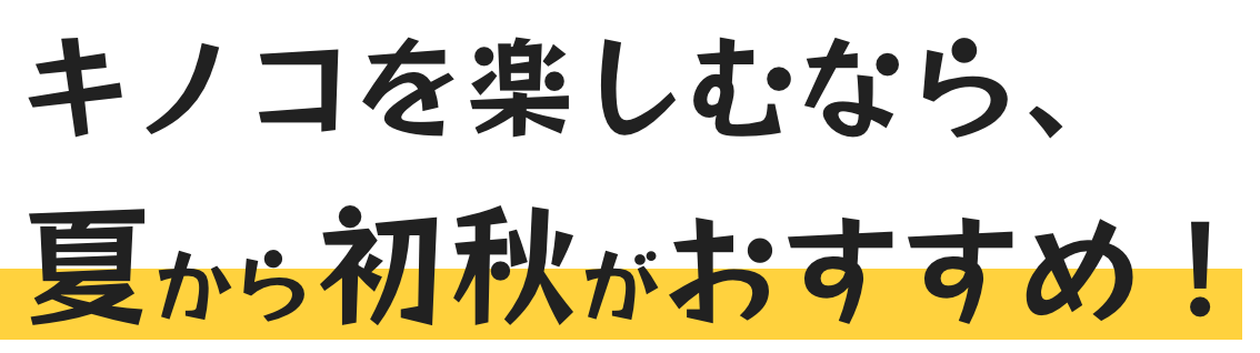 キノコを楽しむなら、夏から初秋がおすすめ！